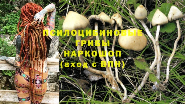 a pvp Магас