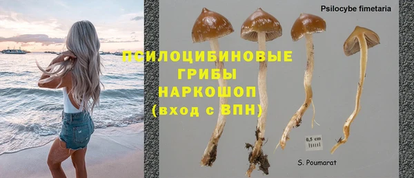a pvp Магас